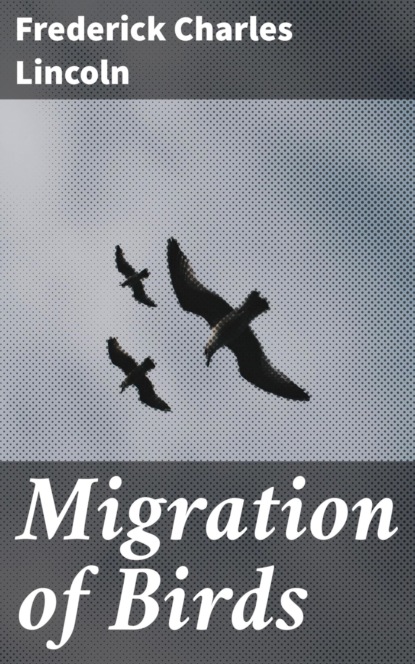 Migration of Birds
