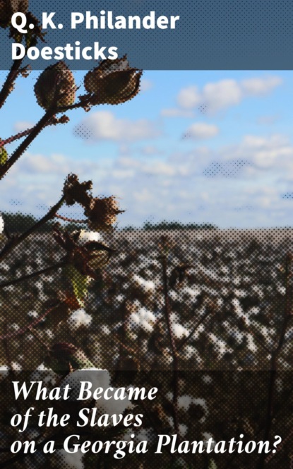 What Became of the Slaves on a Georgia Plantation?