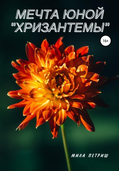 Мечта юной "Хризантемы"