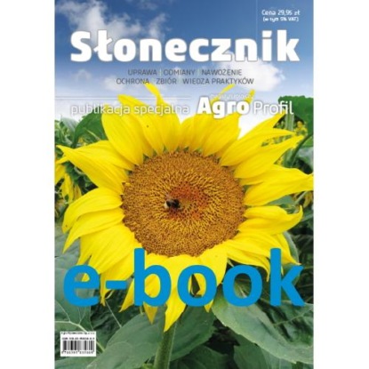 Słonecznik – uprawa, odmiany, nawożenie, ochrona, zbiór