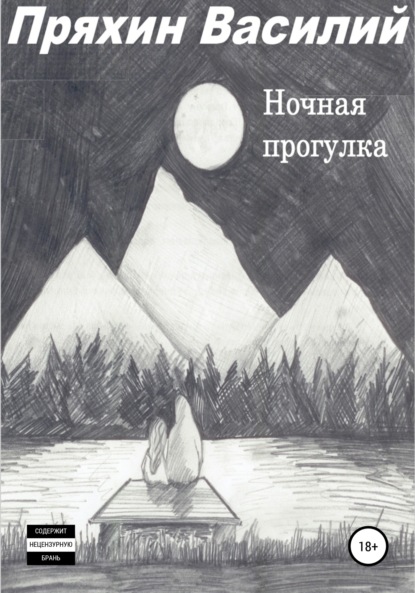 

Ночная прогулка