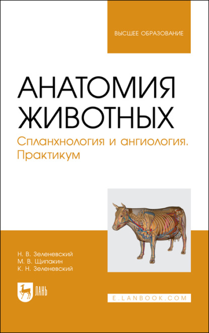 

Анатомия животных. Спланхнология и ангиология. Практикум. Учебное пособие для вузов