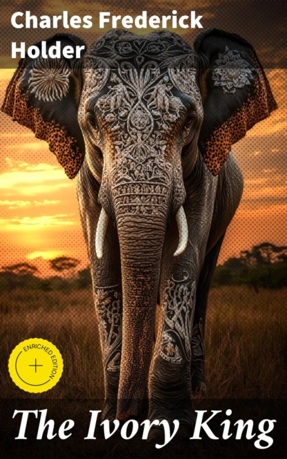 The Ivory King