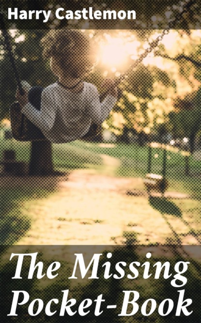 The Missing Pocket-Book