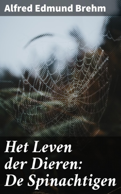 Het Leven der Dieren: De Spinachtigen