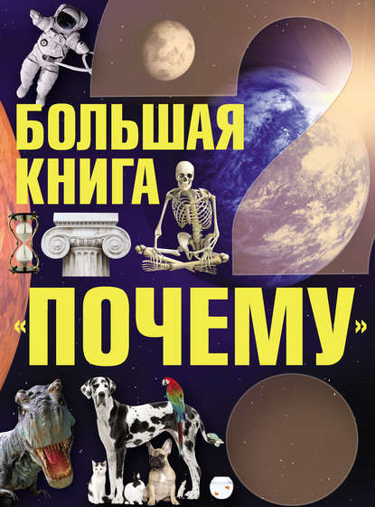 Большая книга «Почему»