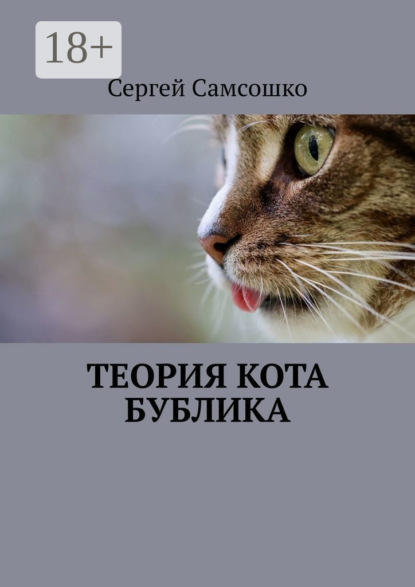 

Теория кота Бублика