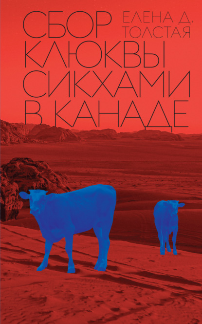

Сбор клюквы сикхами в Канаде