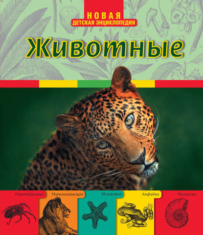 Животные