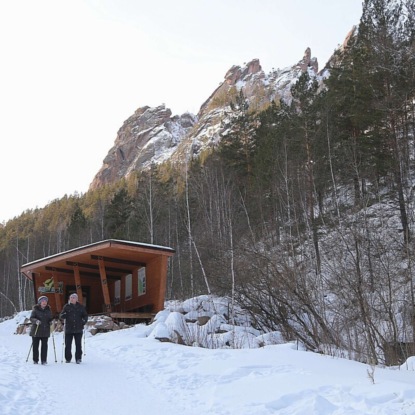 "Экология 2.1": почему гибнут сибирские кедр и пихта?