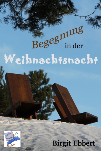 Birgit Ebbert — Begegnung in der Weihnachtsnacht