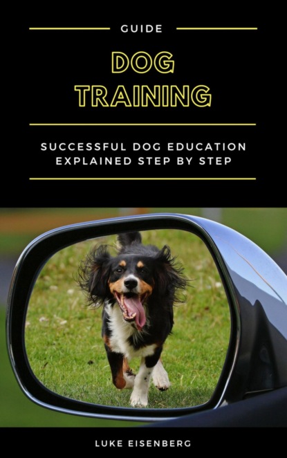

Dog Training