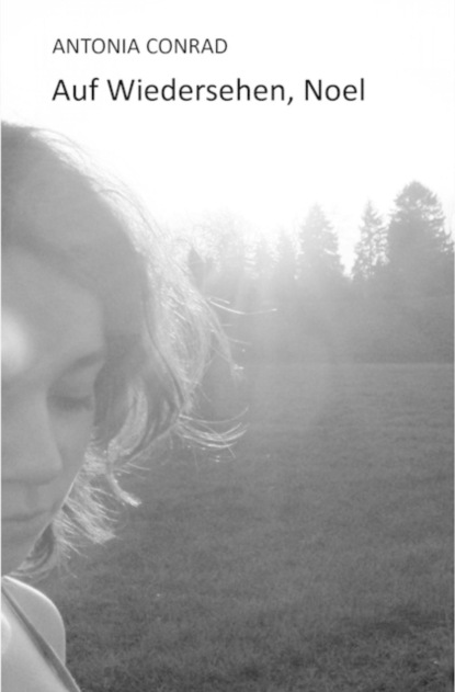 Auf Wiedersehen, Noel