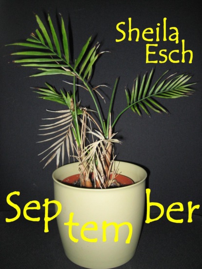 September