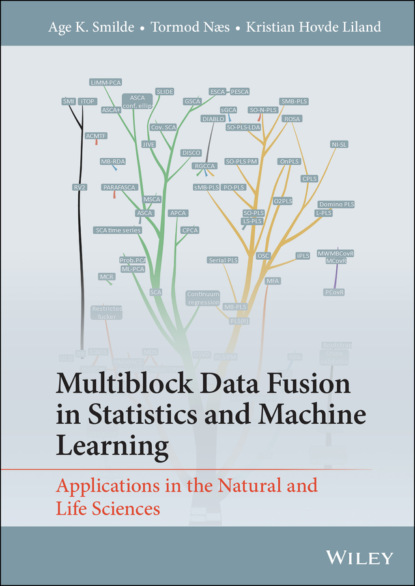 Tormod N?s — Multiblock Data Fusion in Statistics and Machine Learning