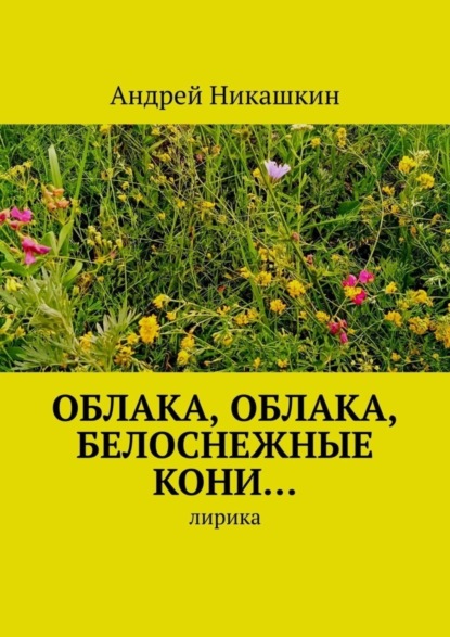 Андрей Викторович Никашкин — Облака, облака, белоснежные кони… Лирика