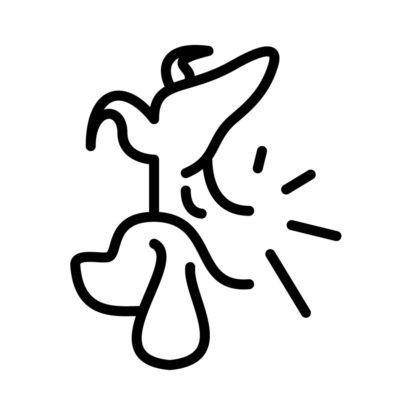 Бойцовские породы: мифы и реальность