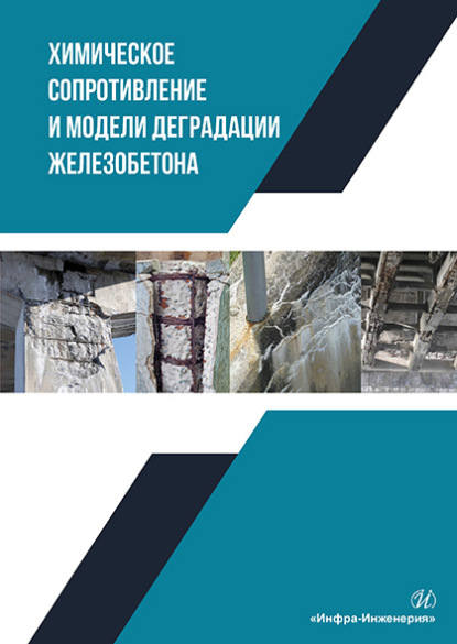 Владимир Селяев — Химическое сопротивление и модели деградации железобетона