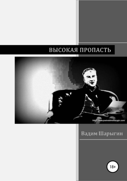 Вадим Юрьевич Шарыгин — Высокая пропасть