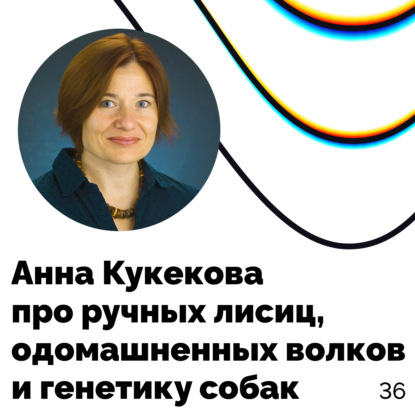 Про ручных лисиц, одомашненных волков и генетику собак — Анна Кукекова