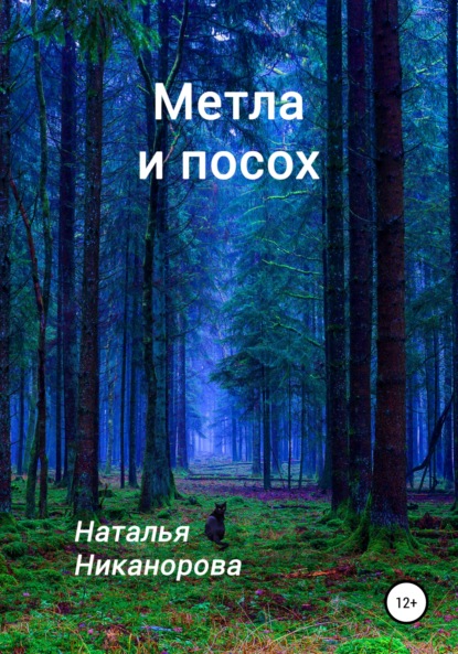 

Метла и посох
