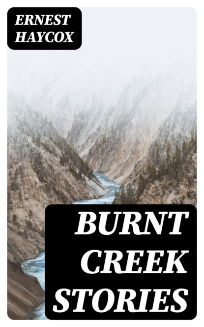 Burnt Creek Stories