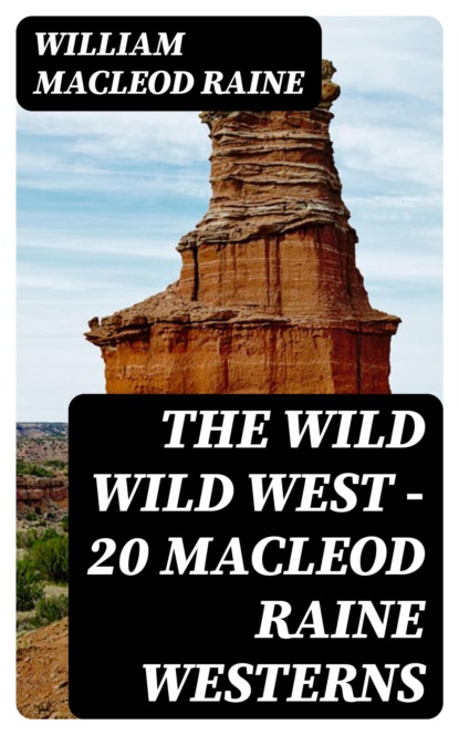 The Wild Wild West - 20  MacLeod Raine Westerns