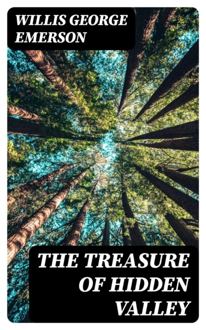 The Treasure of Hidden Valley