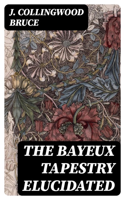 The Bayeux Tapestry Elucidated