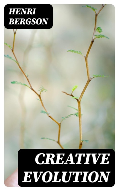 Creative Evolution