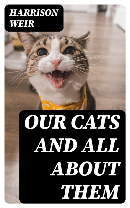 Our Cats and All About Them