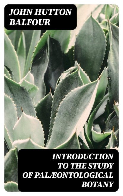Introduction to the Study of Palæontological Botany