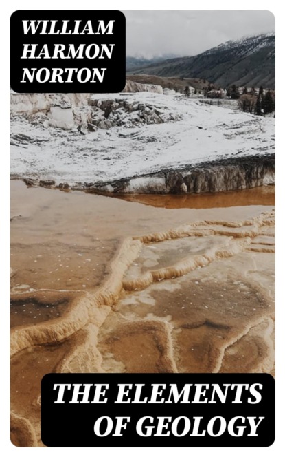 The Elements of Geology