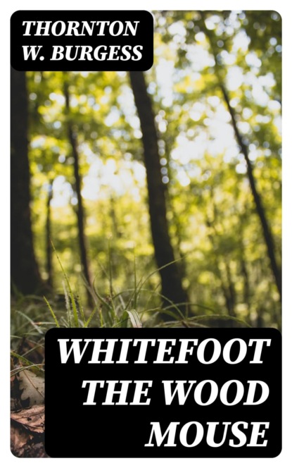 Whitefoot the Wood Mouse