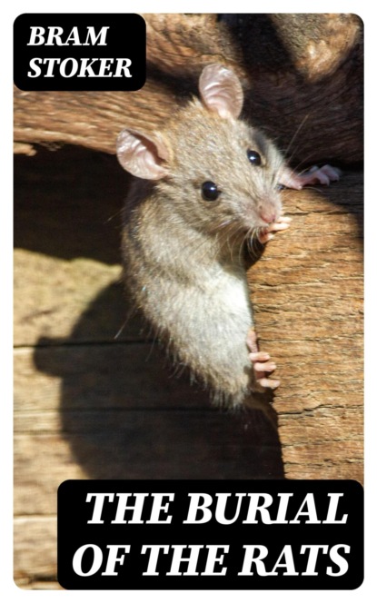 The Burial of the Rats
