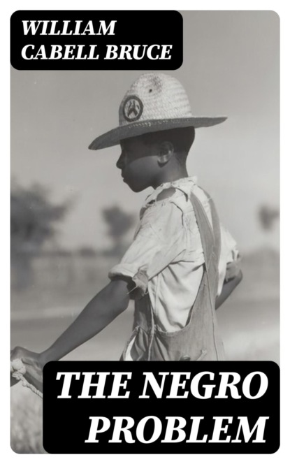The Negro Problem