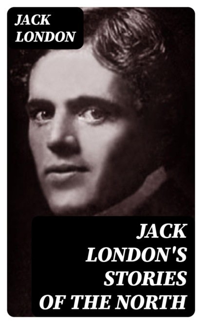 Jack London's Stories of the North