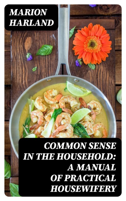 Common Sense in the Household: A Manual of Practical Housewifery