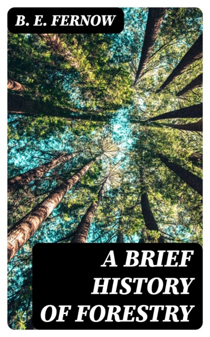 A Brief History of Forestry