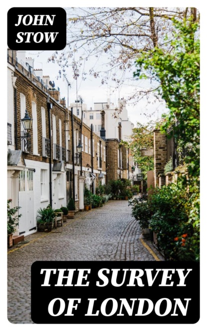 The Survey of London