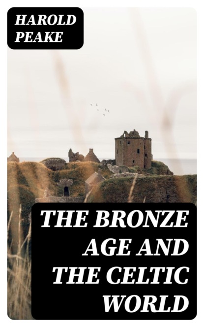 The Bronze Age and the Celtic World