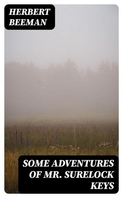 Some Adventures of Mr. Surelock Keys