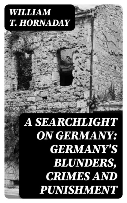 A searchlight on Germany: Germany's Blunders, Crimes and Punishment