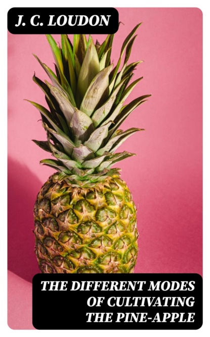 The different modes of cultivating the pine-apple