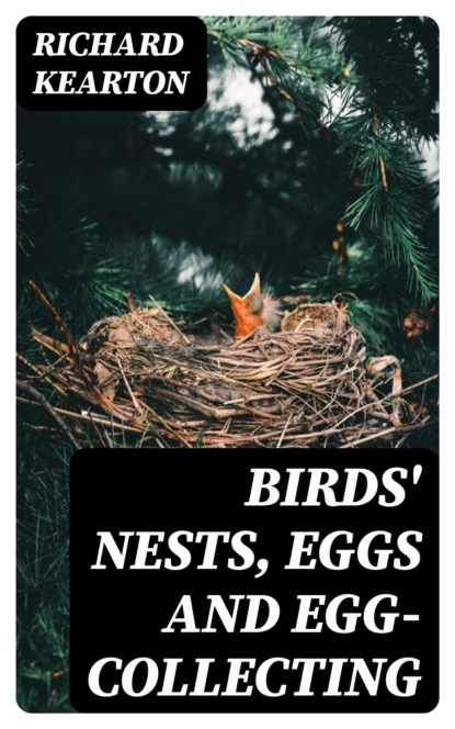 Birds' Nests, Eggs and Egg-Collecting