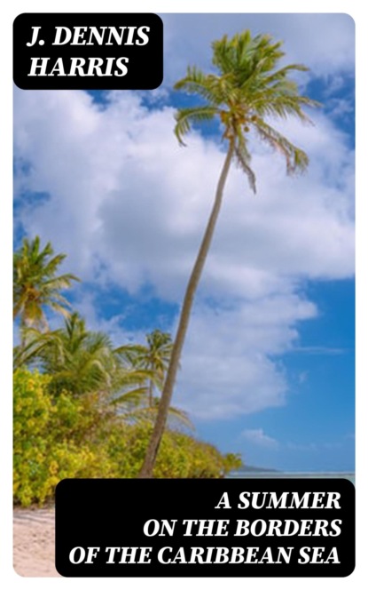 A summer on the borders of the Caribbean sea