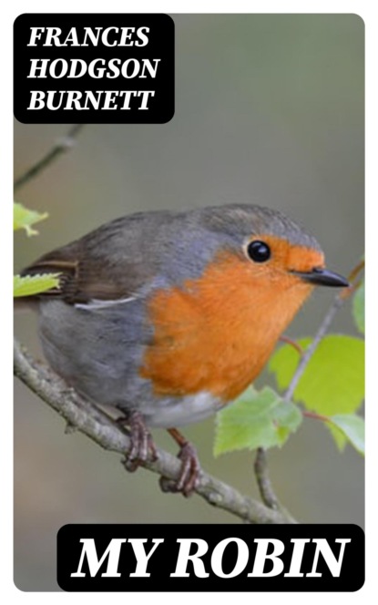 My Robin
