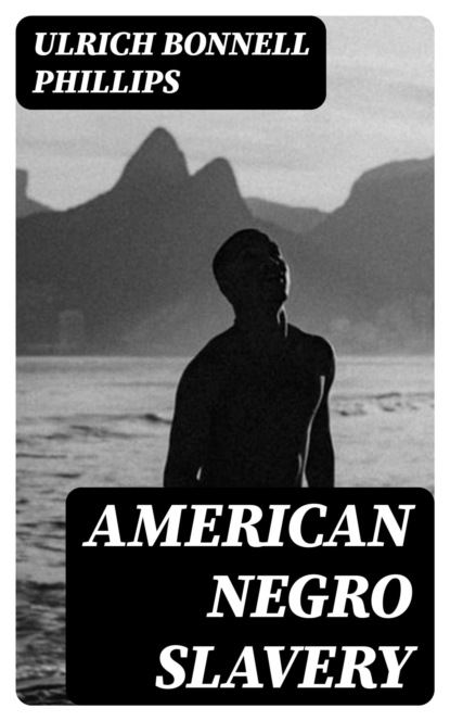American Negro Slavery