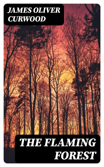 The Flaming Forest
