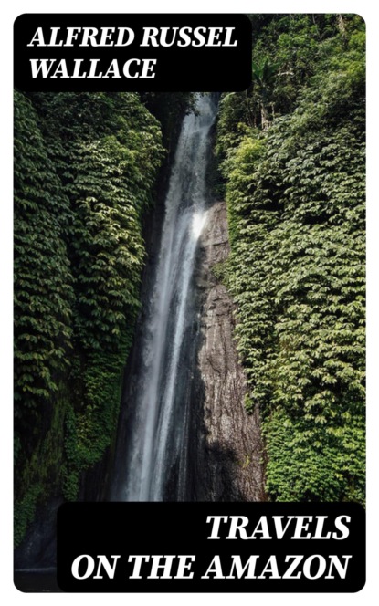 Travels on the Amazon